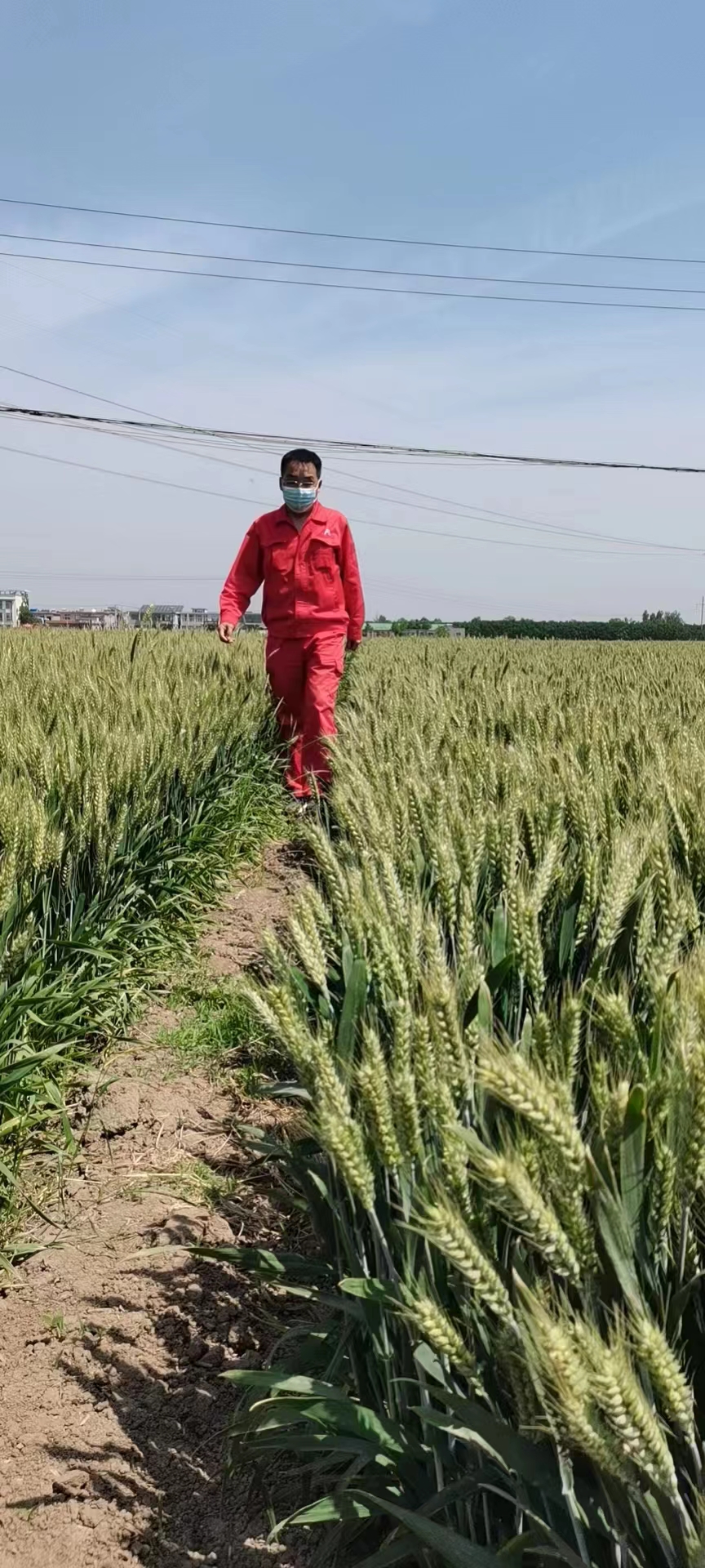 用心守護管道安全，全力保障豫北能源“生命線”——安彩能源開展安全檢查百里行主題黨日活動