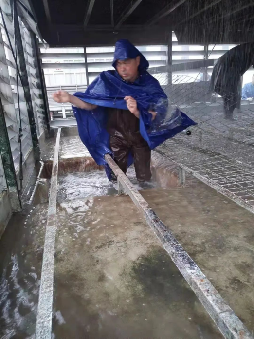 涉水搶修 筑牢屏障——光伏新材料搶修疏通循環(huán)水冷卻塔進水管道紀(jì)實